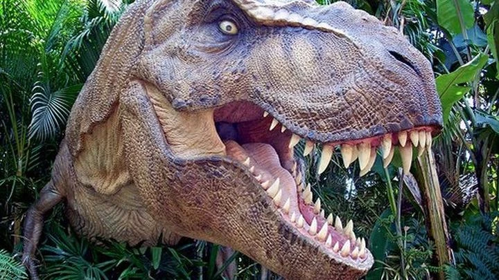 Δείτε το νέο είδος τεράστιου δεινόσαυρου που ανακάλυψαν επιστήμονες στη Νότια Αφρική! (βίντεο)